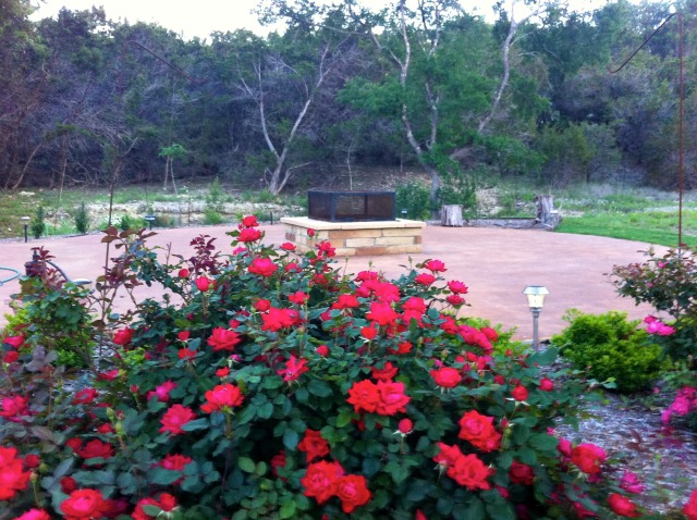 2012/00(Landscaping)/640x480_2012-04-06-9-Landscape changes Conifer Cove.jpg